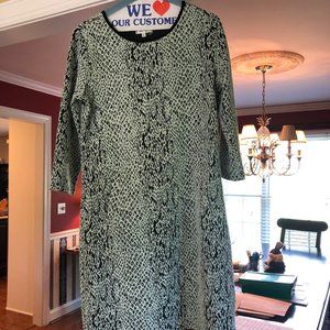 EXOTIC BLACK AND TEAL TYLER BOE